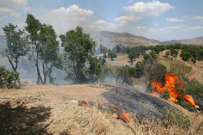 PKK'lı terörist böyle yakalandı 4