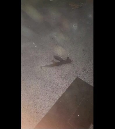 Atatürk Havalimanı saldırısının talimatını 'tek kol' lakaplı Ahmet Çatayev vermiş 11