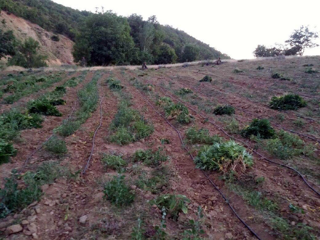 İçinden çıkanlara çok şaşıracaksınız 22