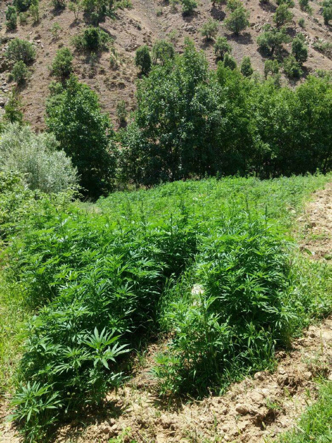 İçinden çıkanlara çok şaşıracaksınız 23