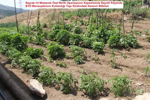 Lice'de çoğunluğu lüks bombalı saldırıda kullanılacak 22 araç yakalandı! 11