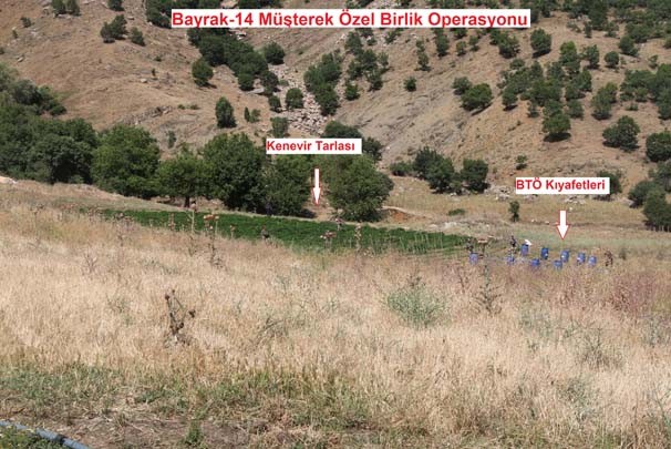 Lice'de çoğunluğu lüks bombalı saldırıda kullanılacak 22 araç yakalandı! 17