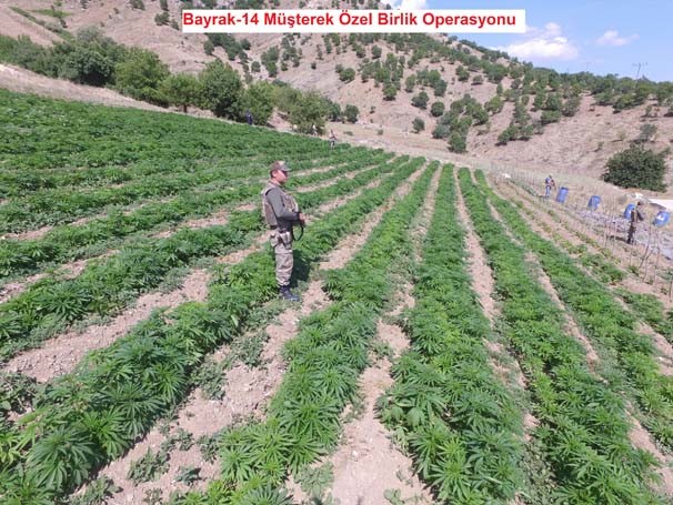 Lice'de çoğunluğu lüks bombalı saldırıda kullanılacak 22 araç yakalandı! 8