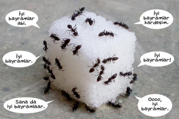 Ramazan bittiğinde biz! 10