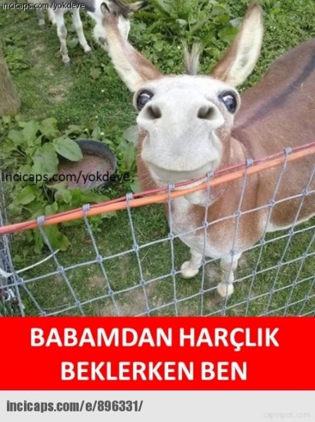 Ramazan bittiğinde biz! 29
