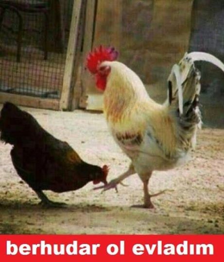 Ramazan bittiğinde biz! 9