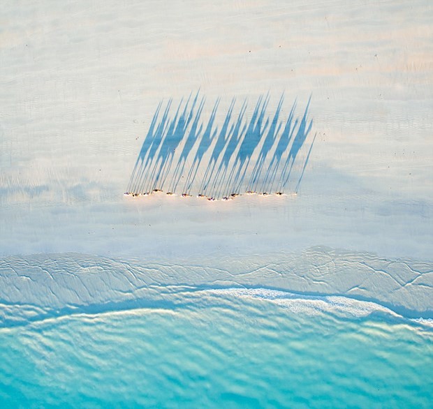 En iyi drone fotoğrafları 2