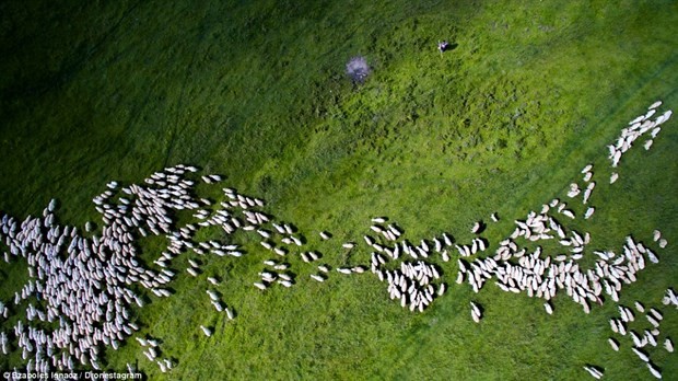 En iyi drone fotoğrafları 5