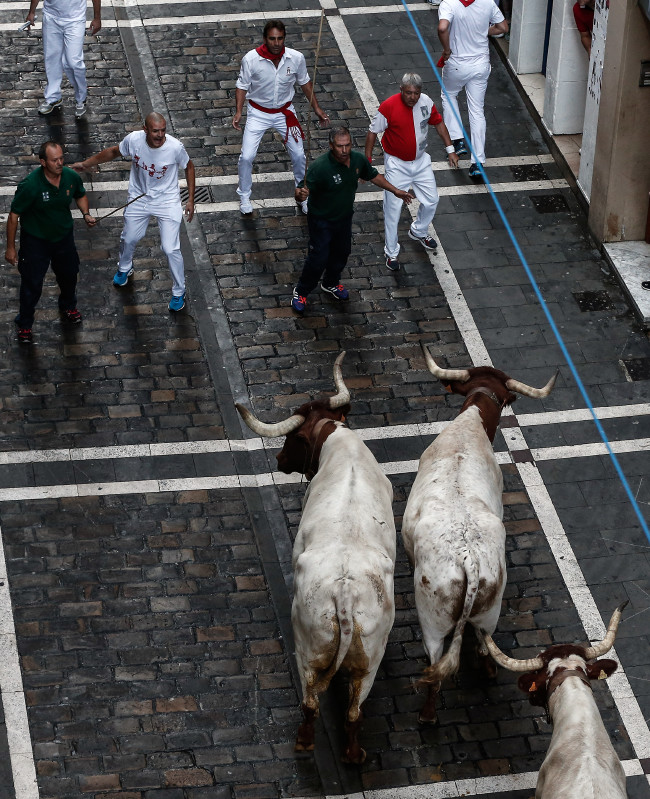 San Fermin festivalinde ilginç anlar 36