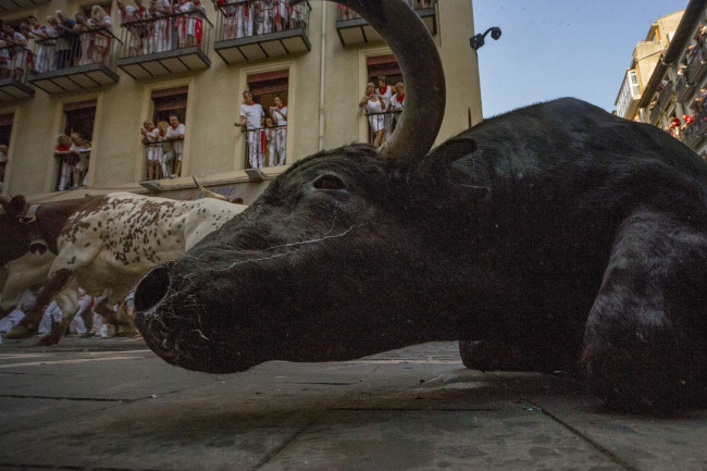 San Fermin festivalinde ilginç anlar 40