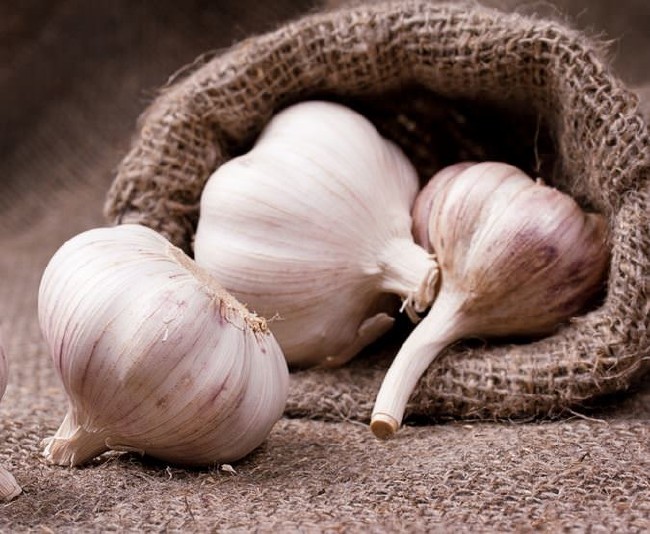Sarımsak bal mucizesi 13