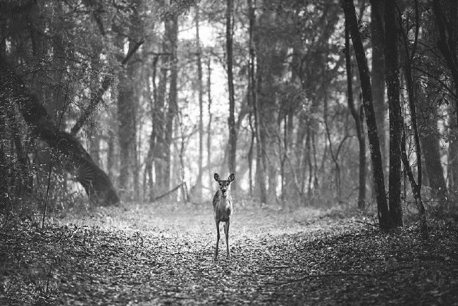 Ailesiyle sonsuz bir tatil için her şeyini sattı 10