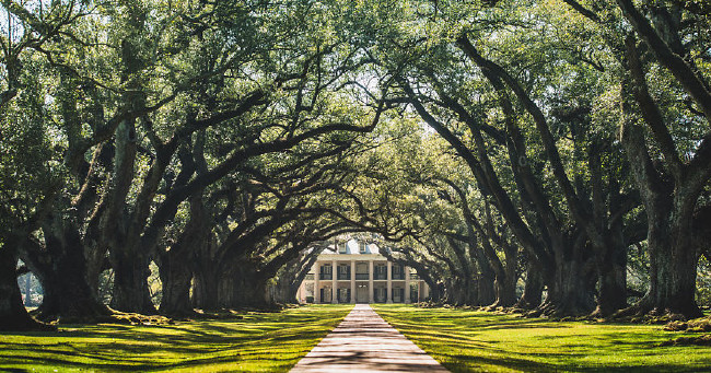 Ailesiyle sonsuz bir tatil için her şeyini sattı 20