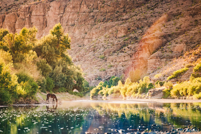 Ailesiyle sonsuz bir tatil için her şeyini sattı 3