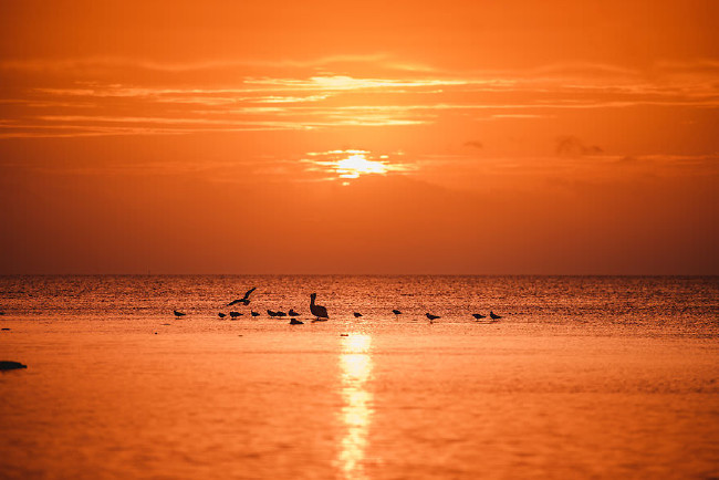 Ailesiyle sonsuz bir tatil için her şeyini sattı 6