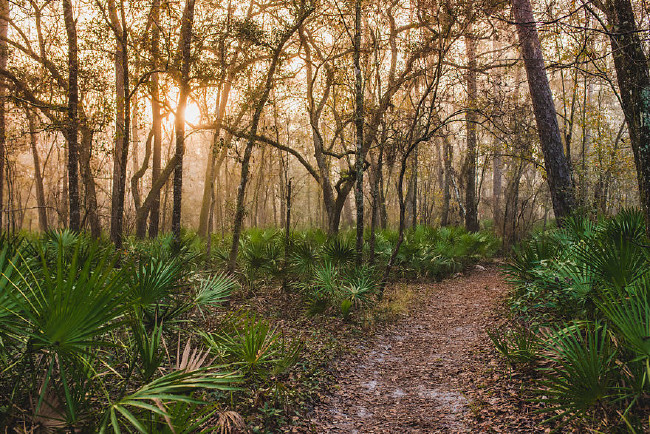Ailesiyle sonsuz bir tatil için her şeyini sattı 9