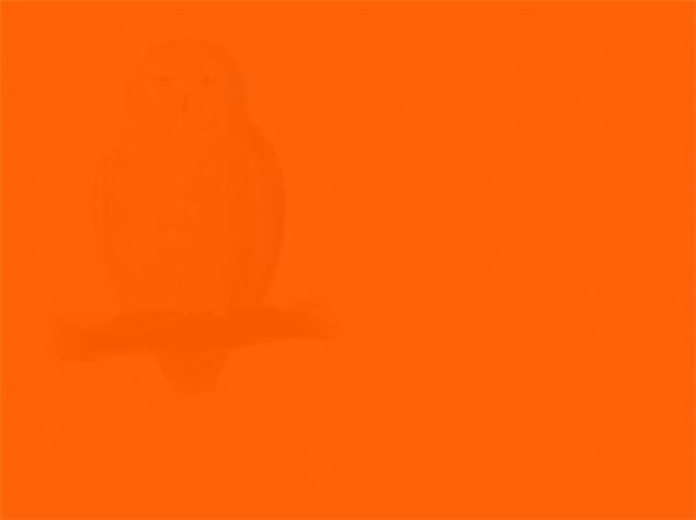 Cep telefonunu gördünüz mü? 13