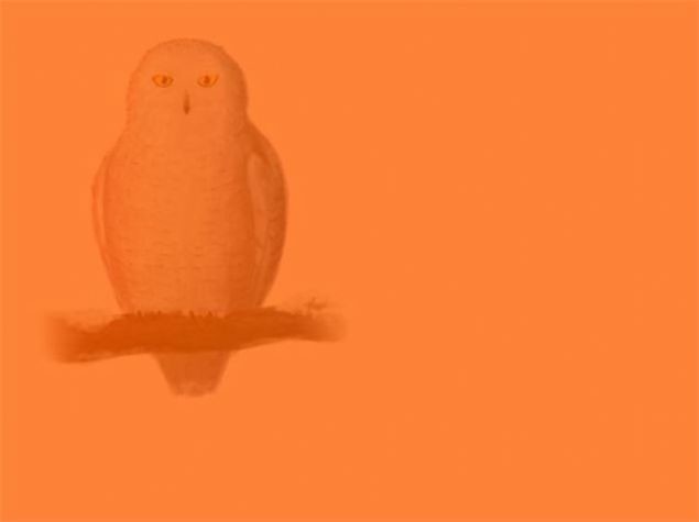 Cep telefonunu gördünüz mü? 14