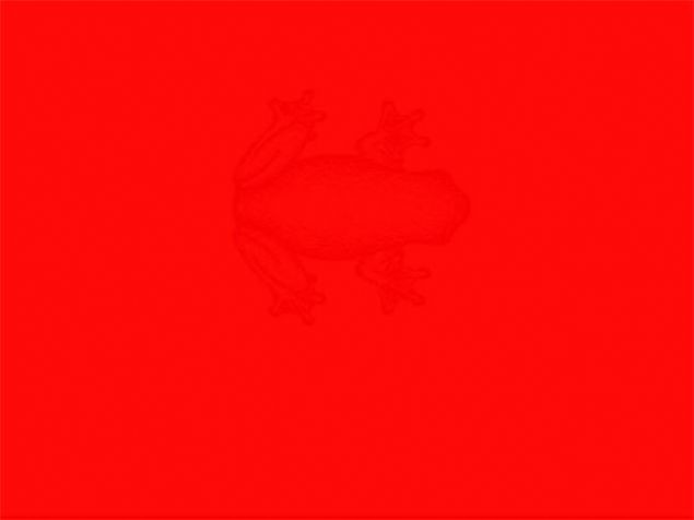 Cep telefonunu gördünüz mü? 15