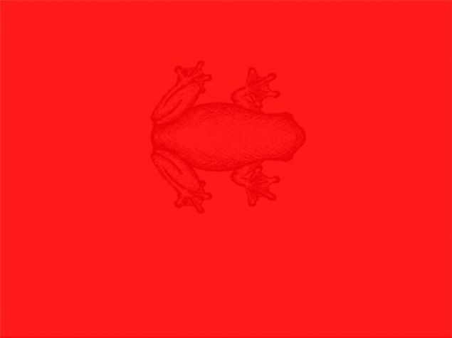 Cep telefonunu gördünüz mü? 16