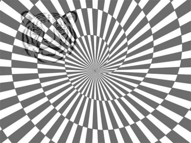 Cep telefonunu gördünüz mü? 18