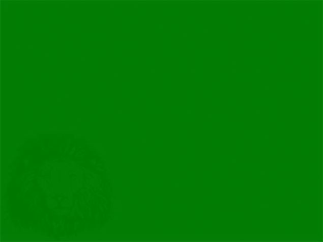 Cep telefonunu gördünüz mü? 25