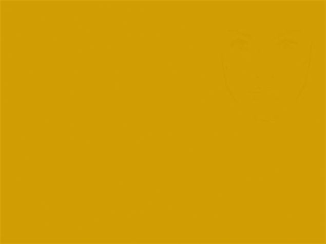 Cep telefonunu gördünüz mü? 29