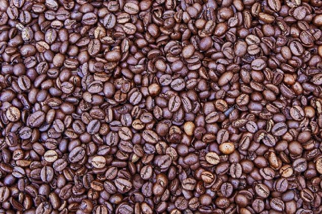 Cep telefonunu gördünüz mü? 9