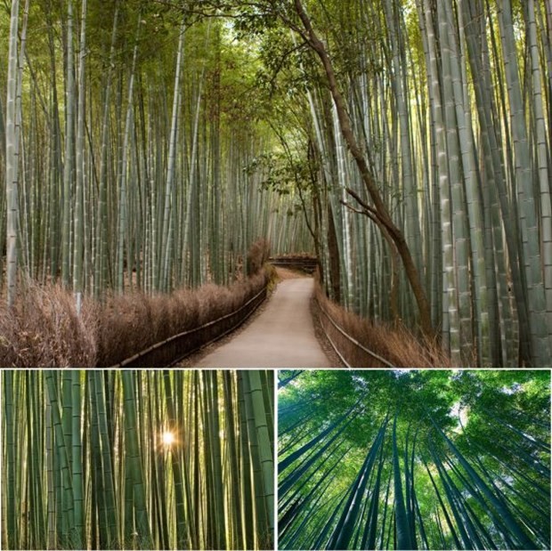 Yaşadığımız dünyadan 'büyüleyici' görüntüler 14