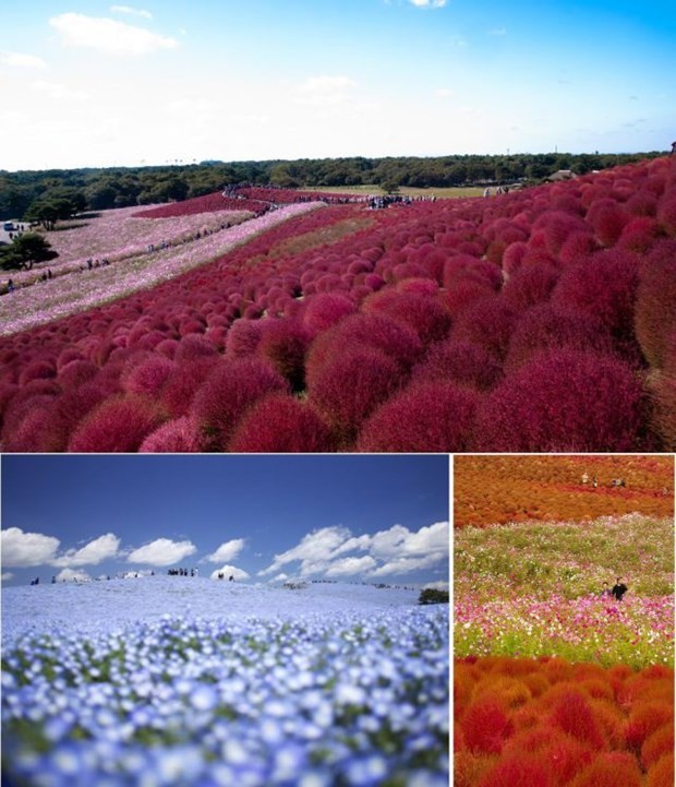 Yaşadığımız dünyadan 'büyüleyici' görüntüler 19