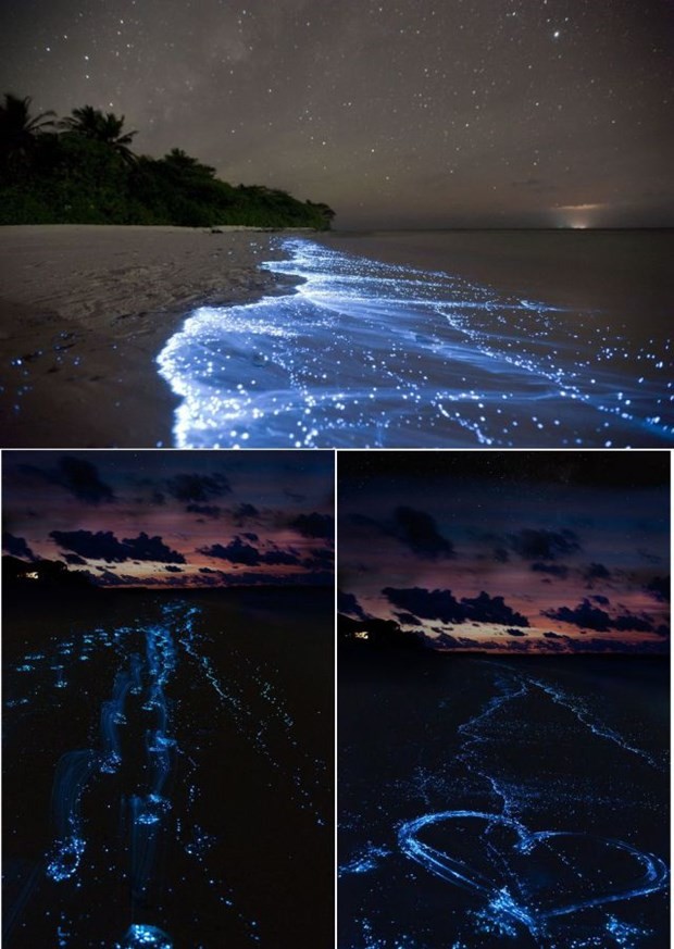 Yaşadığımız dünyadan 'büyüleyici' görüntüler 20