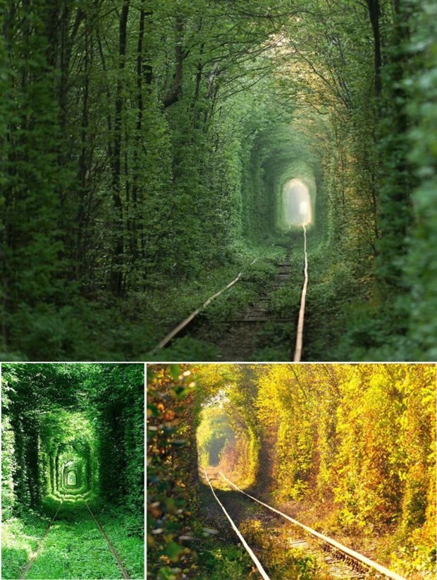 Yaşadığımız dünyadan 'büyüleyici' görüntüler 24