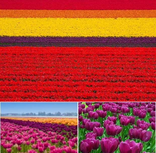 Yaşadığımız dünyadan 'büyüleyici' görüntüler 3