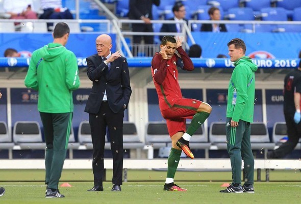 Ronaldo'nun yüzüne konan güve için onlarca hesap açıldı 1