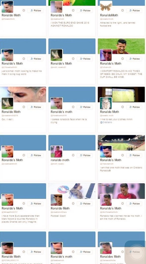 Ronaldo'nun yüzüne konan güve için onlarca hesap açıldı 8