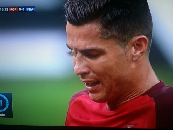 Ronaldo'nun yüzüne konan güve için onlarca hesap açıldı 9