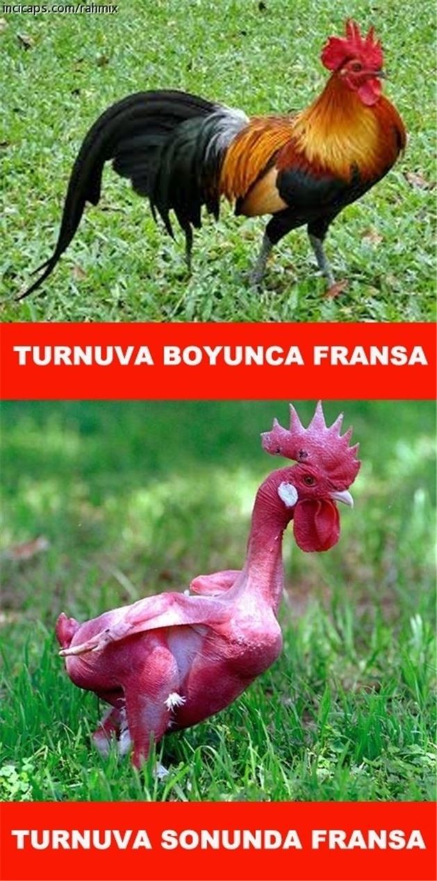 Fransa Portekiz capsleri sosyal medyayı salladı 2