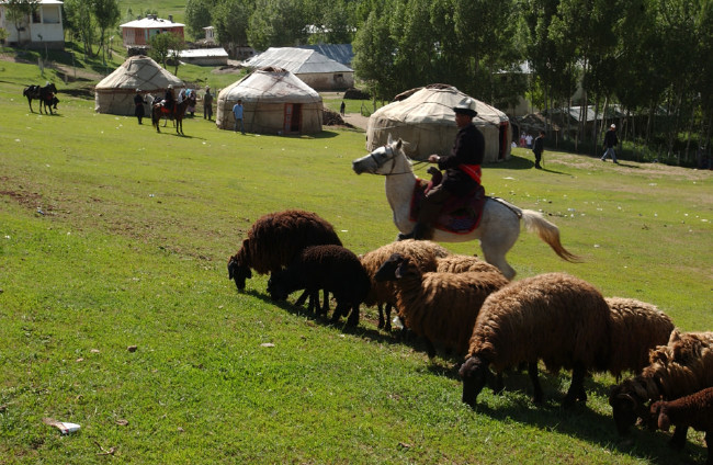 PKK'nın girmeye cesaret edemediği tek köy 21