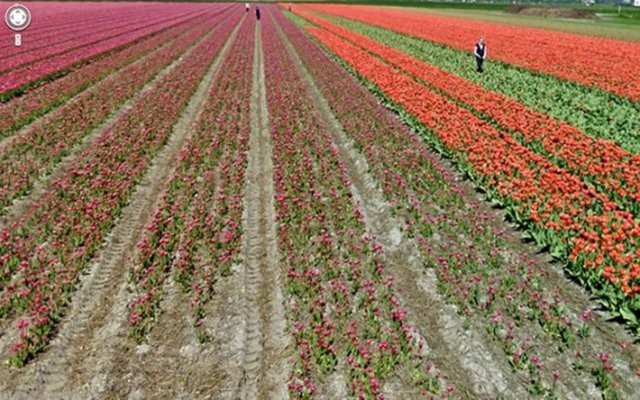 CIA'nın tesadüfen bulduğu esrarengiz yapı 68