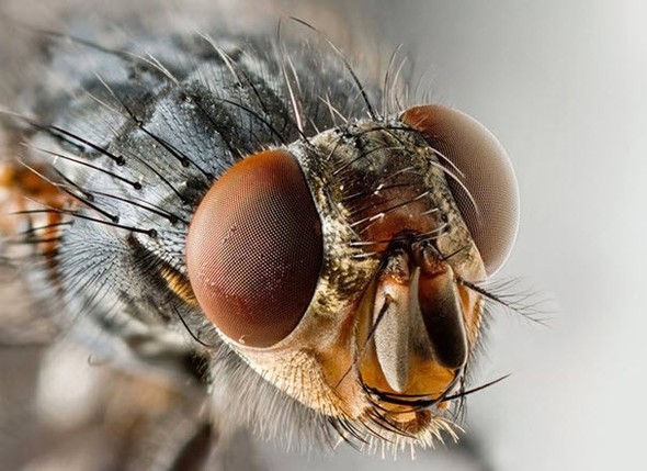 Doğru bildiğimiz yanlışlar 46