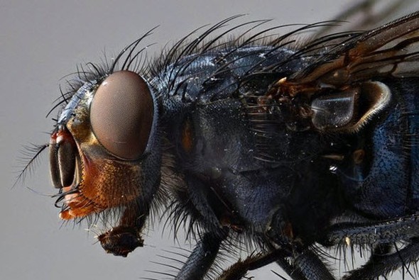 Doğru bildiğimiz yanlışlar 47