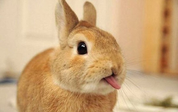 Doğru bildiğimiz yanlışlar 51