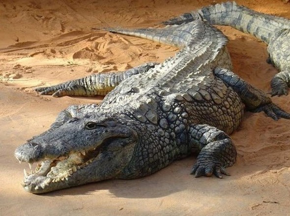 Doğru bildiğimiz yanlışlar 6