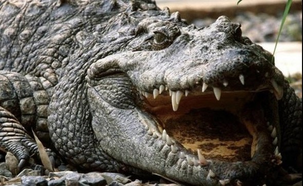 Doğru bildiğimiz yanlışlar 7