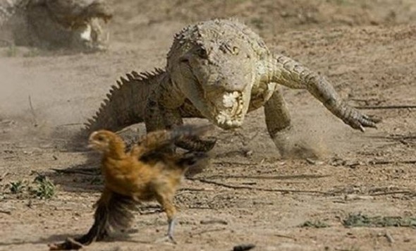 Doğru bildiğimiz yanlışlar 8