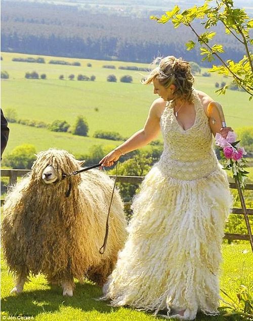 Dünyanın en ilginç düğün fotoğrafları 19