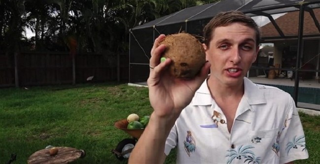 Erimiş tuz meyvelere dökülürse ne olur? 1