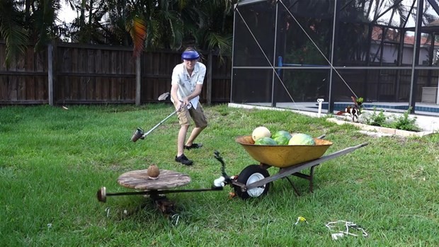 Erimiş tuz meyvelere dökülürse ne olur? 11