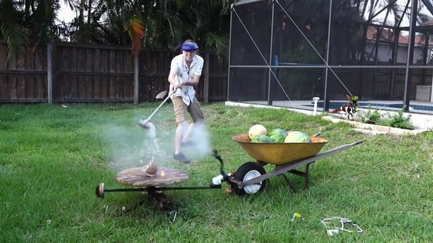 Erimiş tuz meyvelere dökülürse ne olur? 14