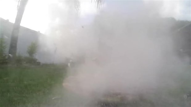 Erimiş tuz meyvelere dökülürse ne olur? 23